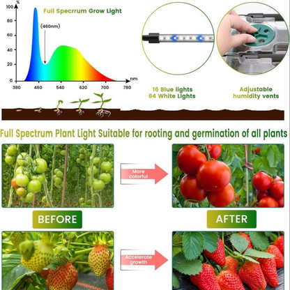 160-Cell Seedling Starter Tray with Grow LED Lights